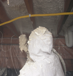 Olathe KS crawl space insulation
